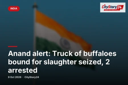 Anand alert: Truck of buffaloes bound for slaughter seized, 2 arrested