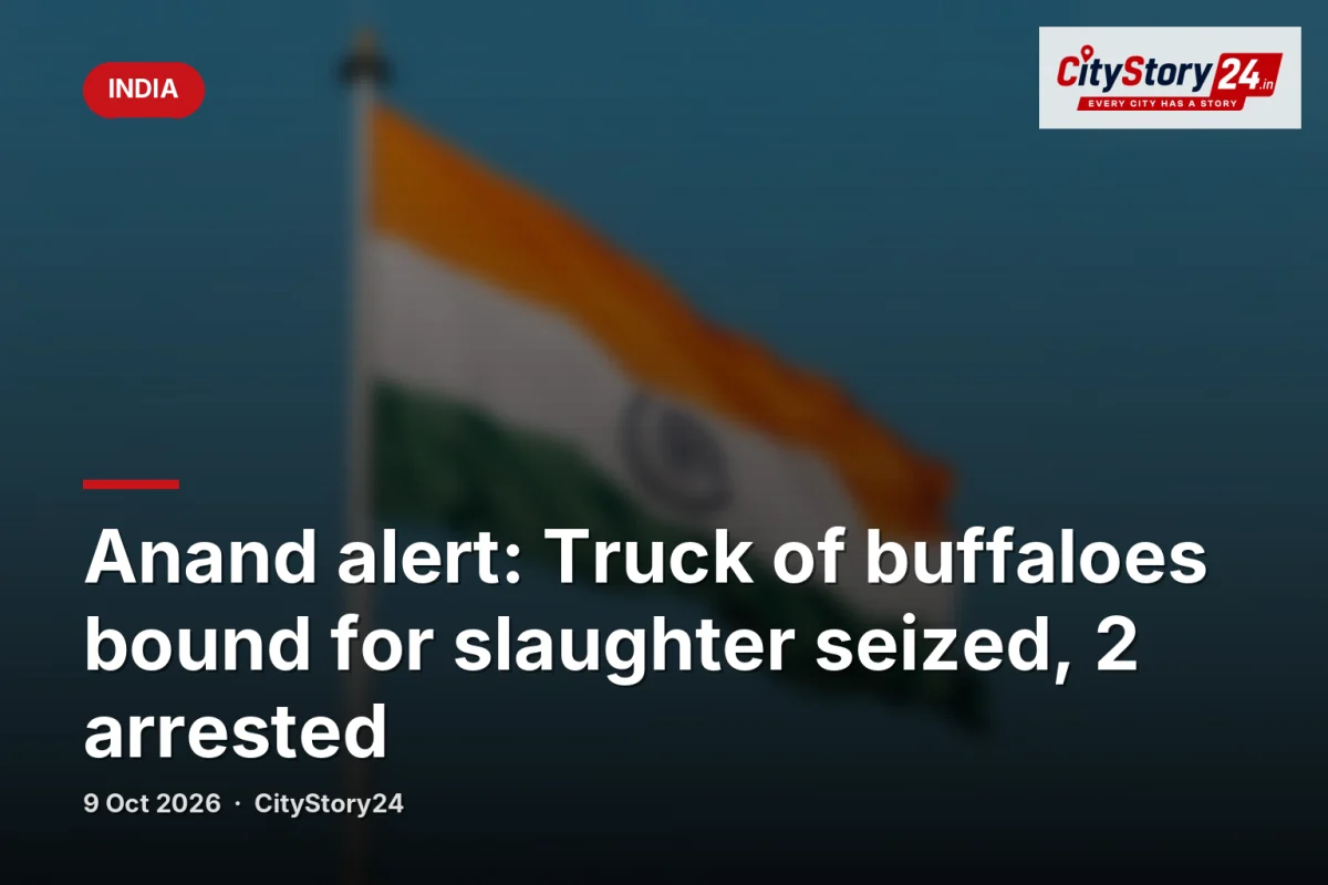 Anand alert: Truck of buffaloes bound for slaughter seized, 2 arrested
