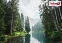 Environment News