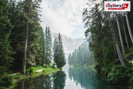 Environment News