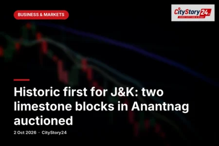 Historic first for J&K: two limestone blocks in Anantnag auctioned