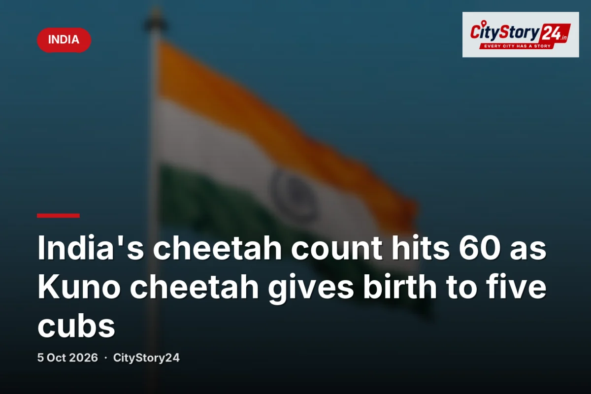 India's cheetah count hits 60 as Kuno cheetah gives birth to five cubs