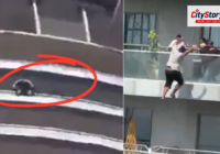 'Came to stay at Airbnb': 28-year-old man jumps to death from 41st floor in Noida