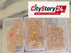 Gujarat: 2.90 kg of gold worth Rs 4 crore recovered along with four accused at Kheda Railway Station
