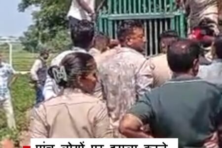 Gujarat: Forest department caught the lioness that attacked five people
