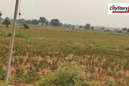 Prolonged dry spell, brown disease hit cotton yield in Yadgir district of Karnataka