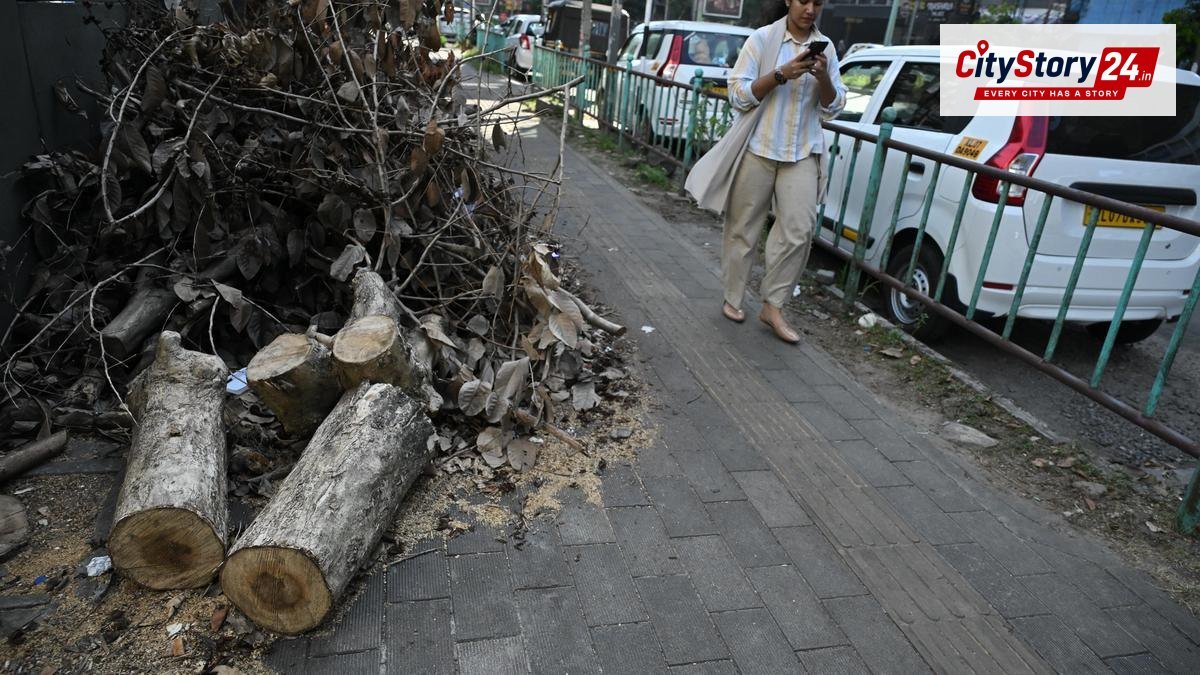 Kochi Corporation to update tree registry after row over unauthorised felling