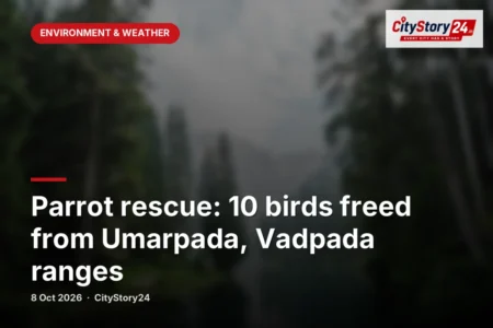 Parrot rescue: 10 birds freed from Umarpada, Vadpada ranges