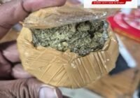 CBN Rajasthan Unit seizes 1.080 kg hydroponic weed (ganja) concealed in international parcel from Thailand