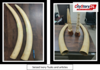 DRI cracks down on illegal wildlife trafficking; elephant ivory, leopard skin, live pangolins and tiger parts seized; 11 persons arrested