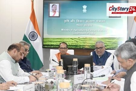 પરાળી: હરિયાણામાં 53.3% ઘટાડો, મધ્ય પ્રદેશ-રાજસ્થાનમાં વધારાથી ચિંતા