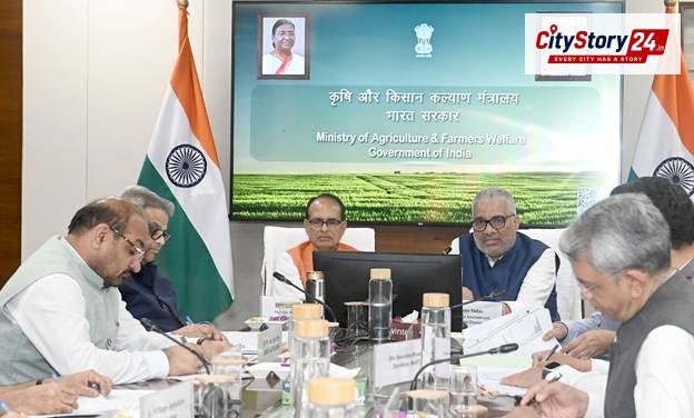 પરાળી: હરિયાણામાં 53.3% ઘટાડો, મધ્ય પ્રદેશ-રાજસ્થાનમાં વધારાથી ચિંતા