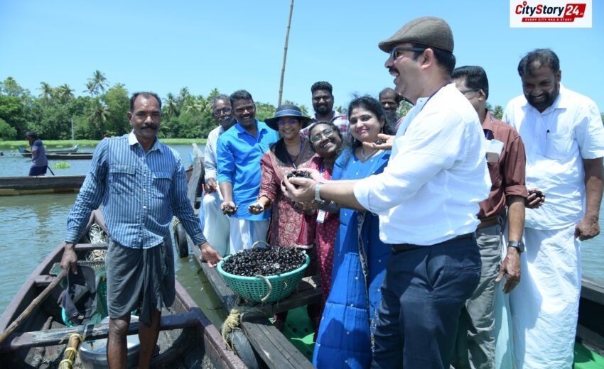 CMFRI initiative gives fresh hope to declining black clam resource in Vembanad
