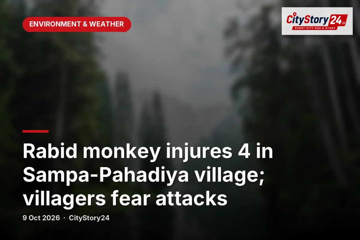Rabid monkey injures 4 in Sampa-Pahadiya village; villagers fear attacks