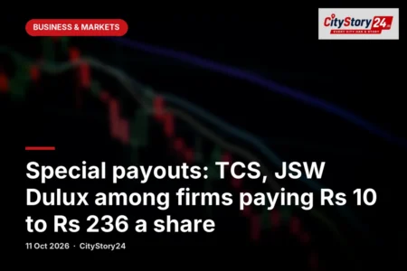 Special payouts: TCS, JSW Dulux among firms paying Rs 10 to Rs 236 a share