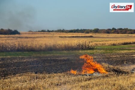 Representative image: paddy field stubble burning India