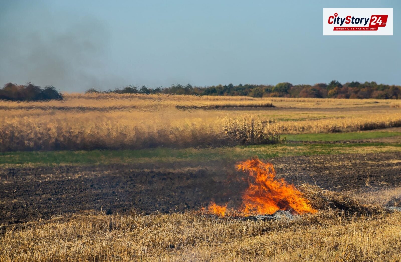 Representative image: paddy field stubble burning India