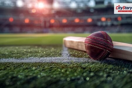 Representative image: cricket bat ball stadium