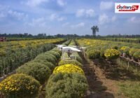 Representative image: farm drone spraying crops India