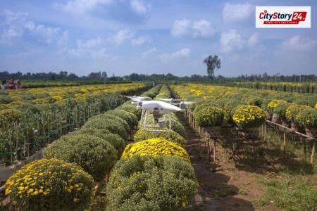 Representative image: farm drone spraying crops India