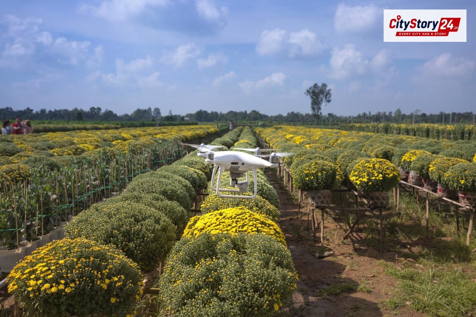 Representative image: farm drone spraying crops India