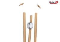 Representative image: cricket Test match ball bat
