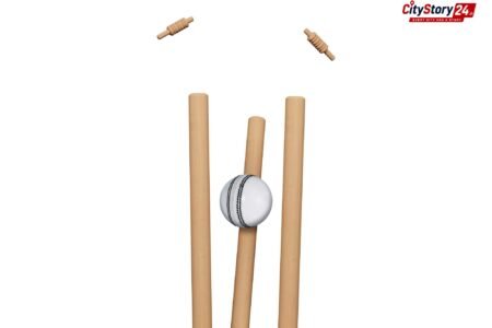 Representative image: cricket Test match ball bat