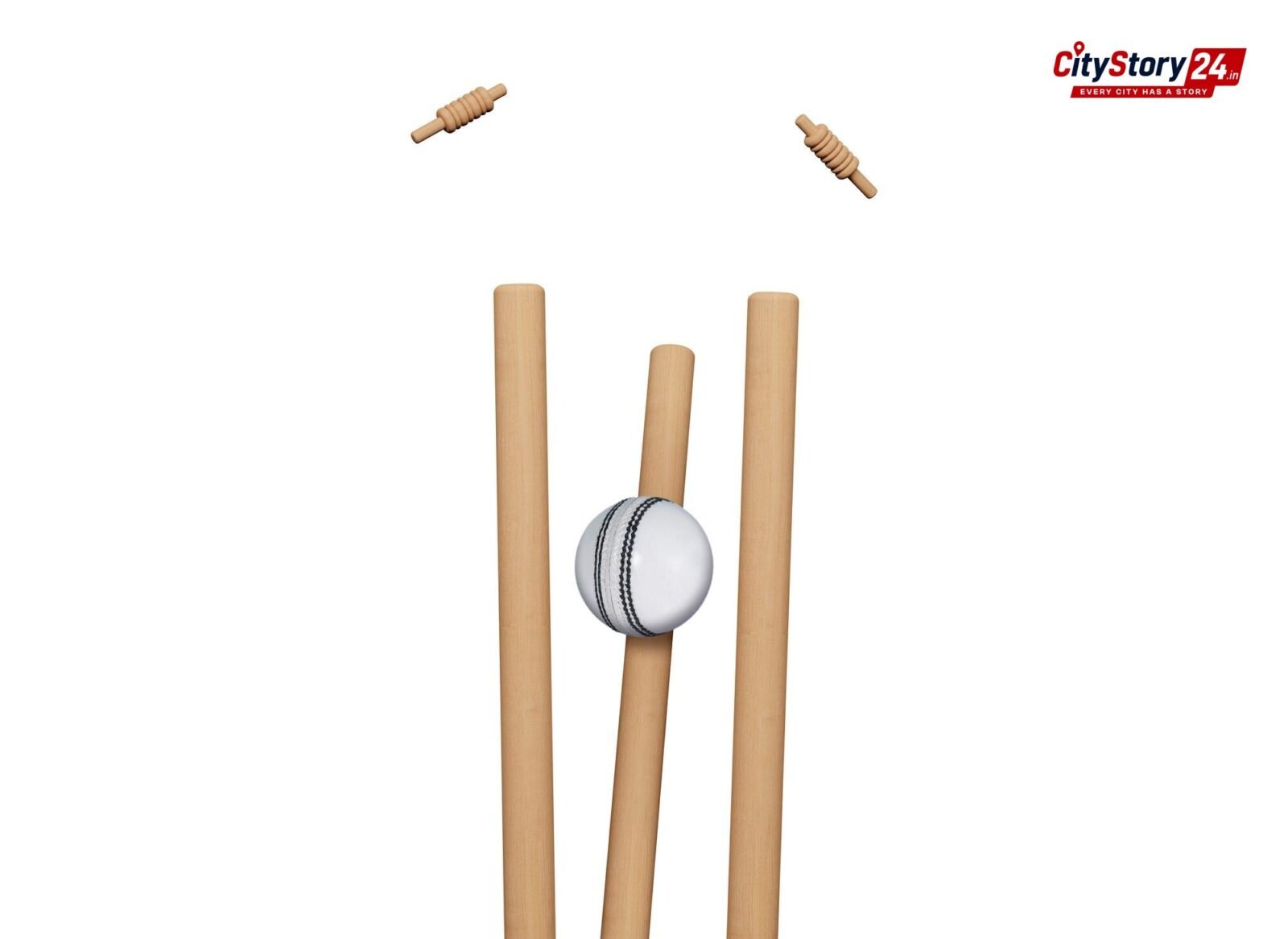 Representative image: cricket Test match ball bat