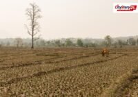 Representative image: dry cracked farmland India