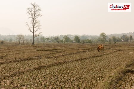Representative image: dry cracked farmland India