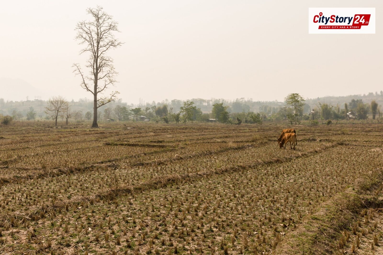 Representative image: dry cracked farmland India