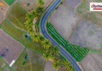 Representative image: land plots aerial view India