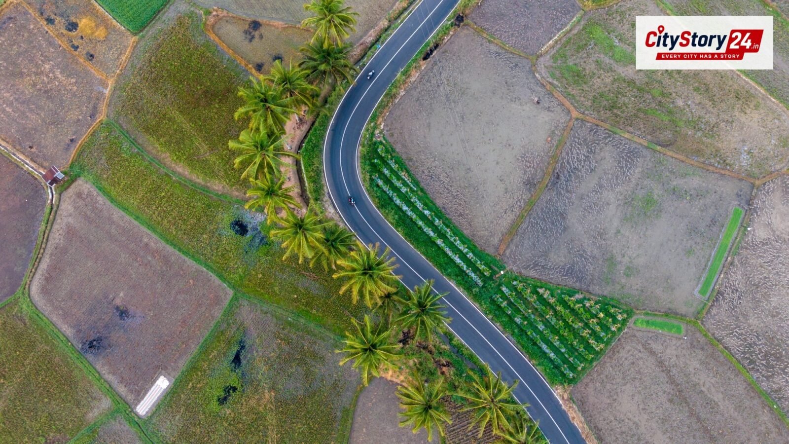 Representative image: land plots aerial view India