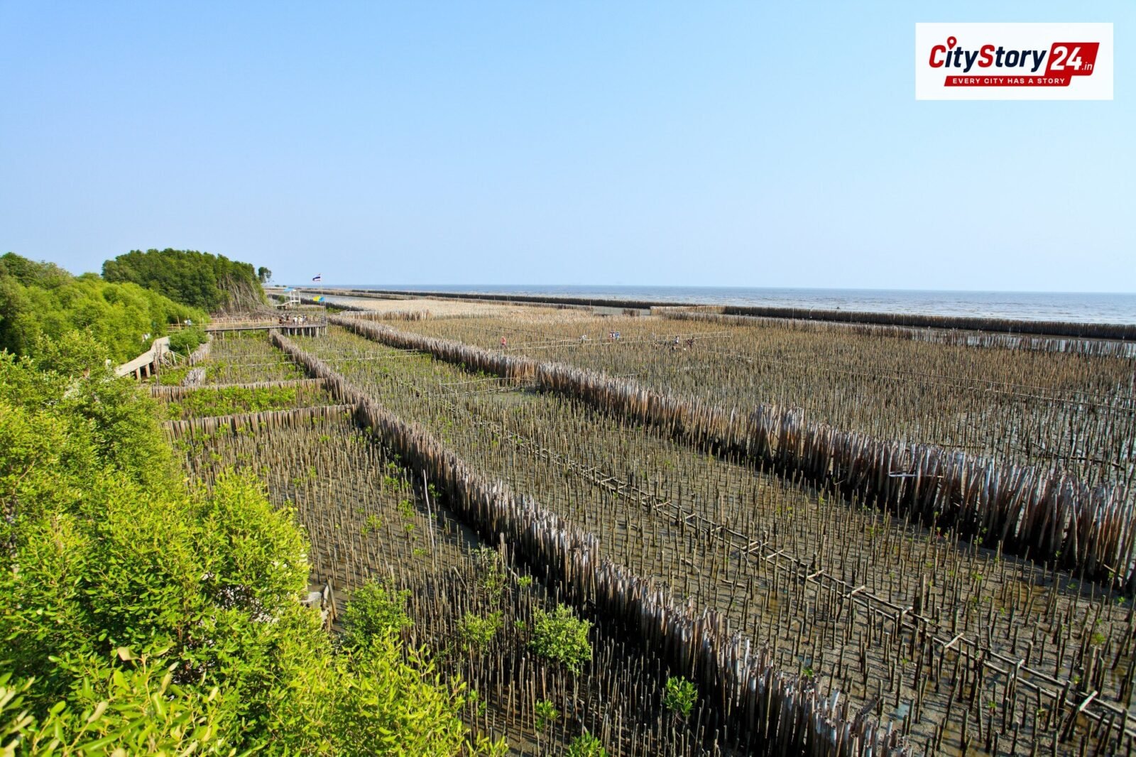 Representative image: seaweed farming coastal India