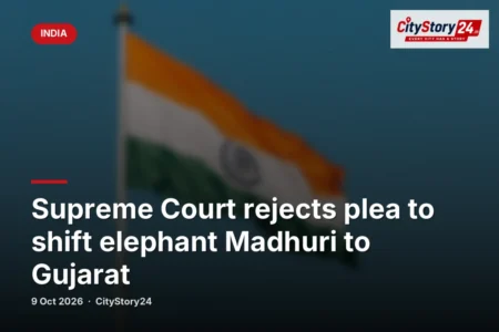 Supreme Court rejects plea to shift elephant Madhuri to Gujarat