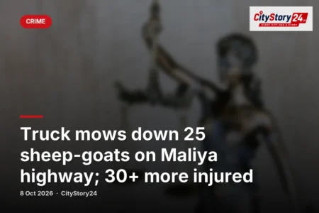 Truck mows down 25 sheep-goats on Maliya highway; 30+ more injured